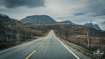Roads of Norway | Picture 4