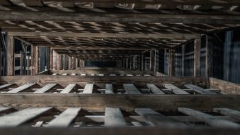 Visit of the Auschwitz-Birkenau memorial | Picture 22