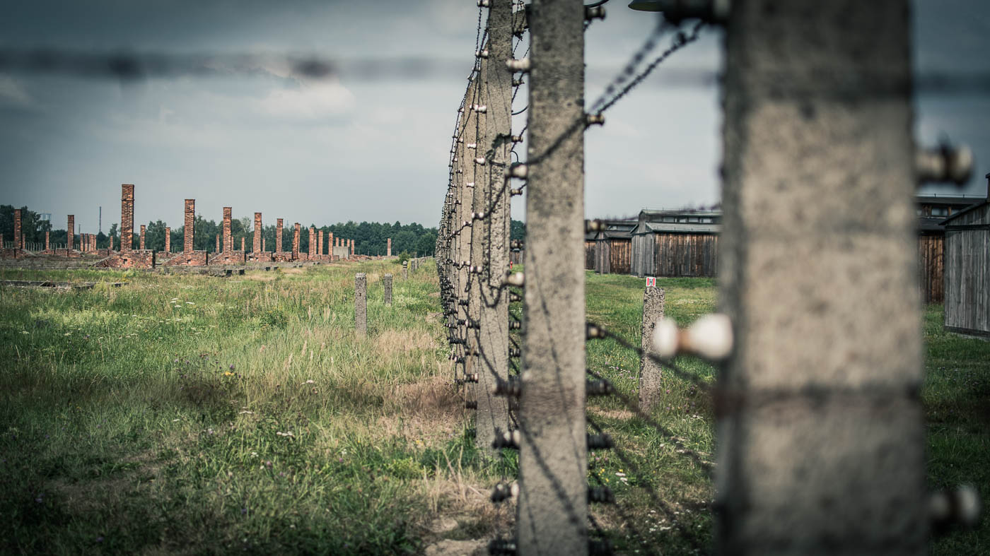 Barbed wire as far as the eye can see.