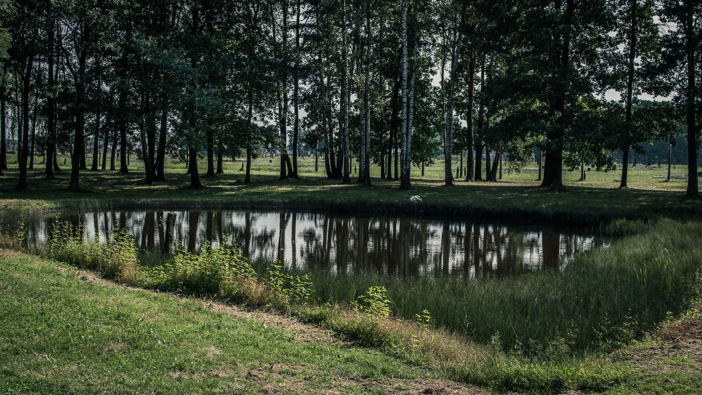 Die Asche der Ermordeten wurde in die am Gelände von Auschwitz II-Birkenau befindlichen Teiche geworfen.