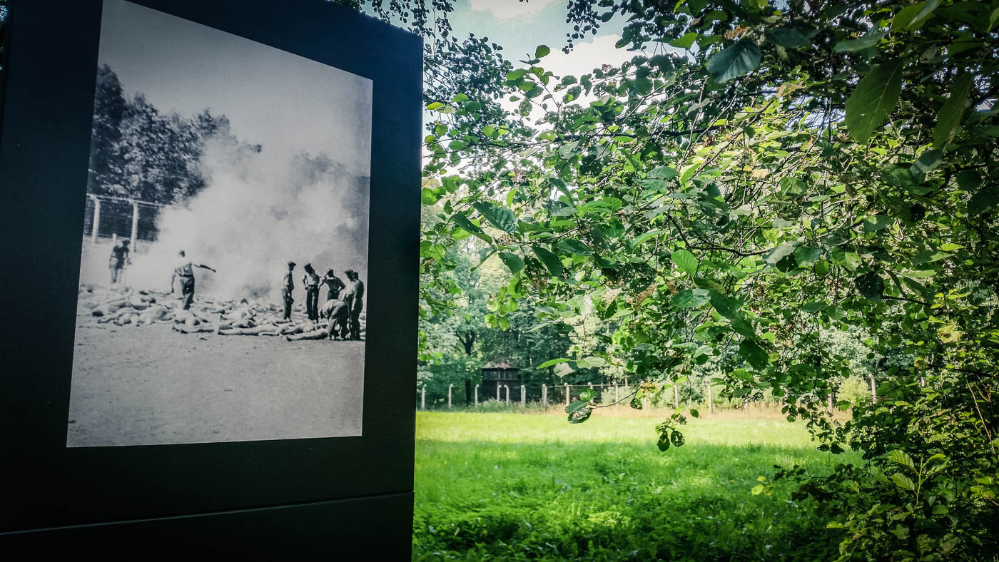 Eines der seltenen Fotos bezeugt, dass viele Leichen an dieser Stelle im Wald verbrannt wurden.