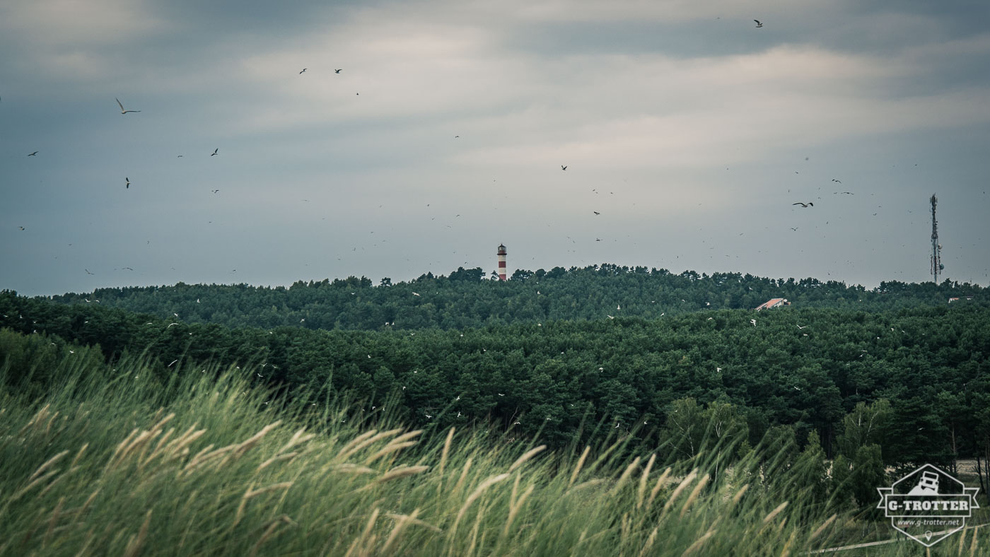 On the Curonian Spit.