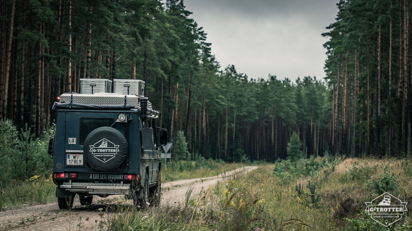 In Lettland lohnt es sich, auch die kleinen Waldwege zu erkunden. 