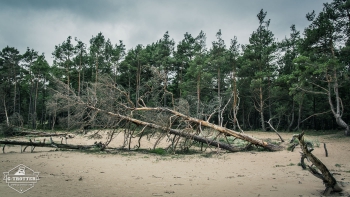 Along the shore in Latvia | Picture 6