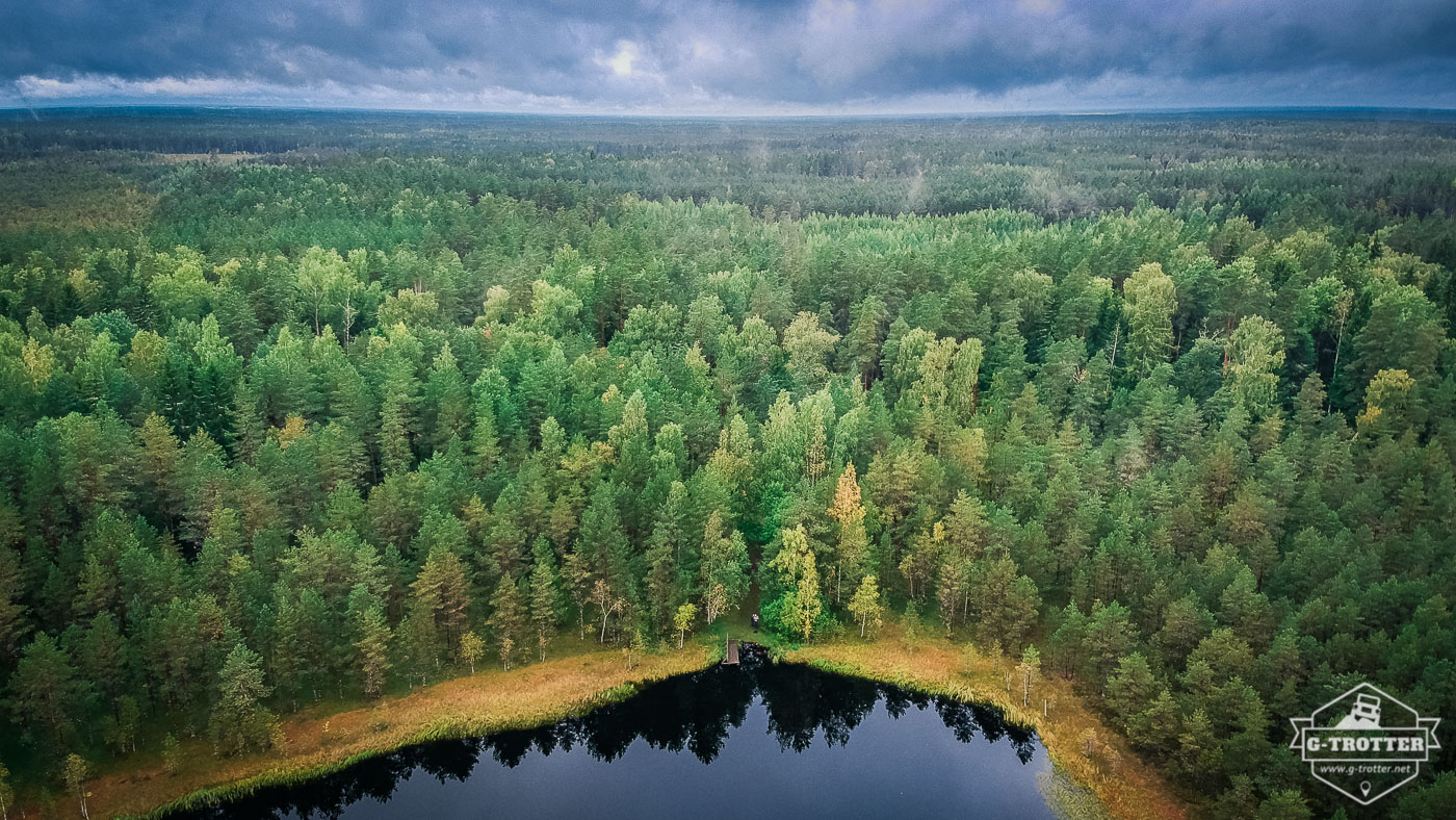 Wald soweit das Auge reicht. Ziemlich beeindruckend.