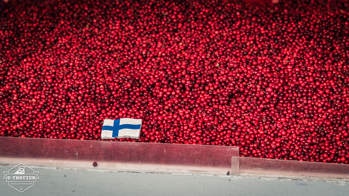 Frische Beeren am Marktplatz in Helsinki (Kauppatori).