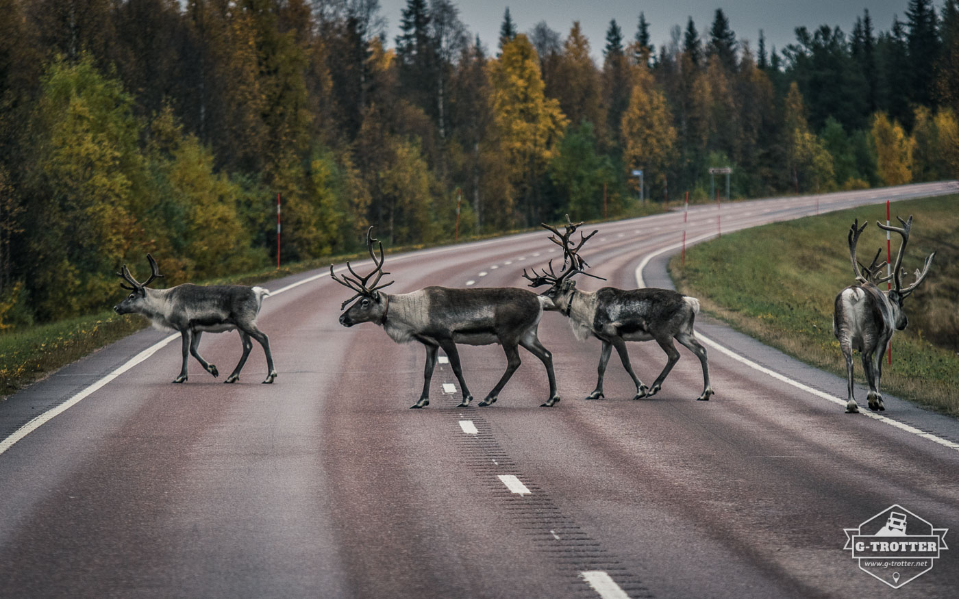 Picture 8 of the picture gallery “Roads of Finland”