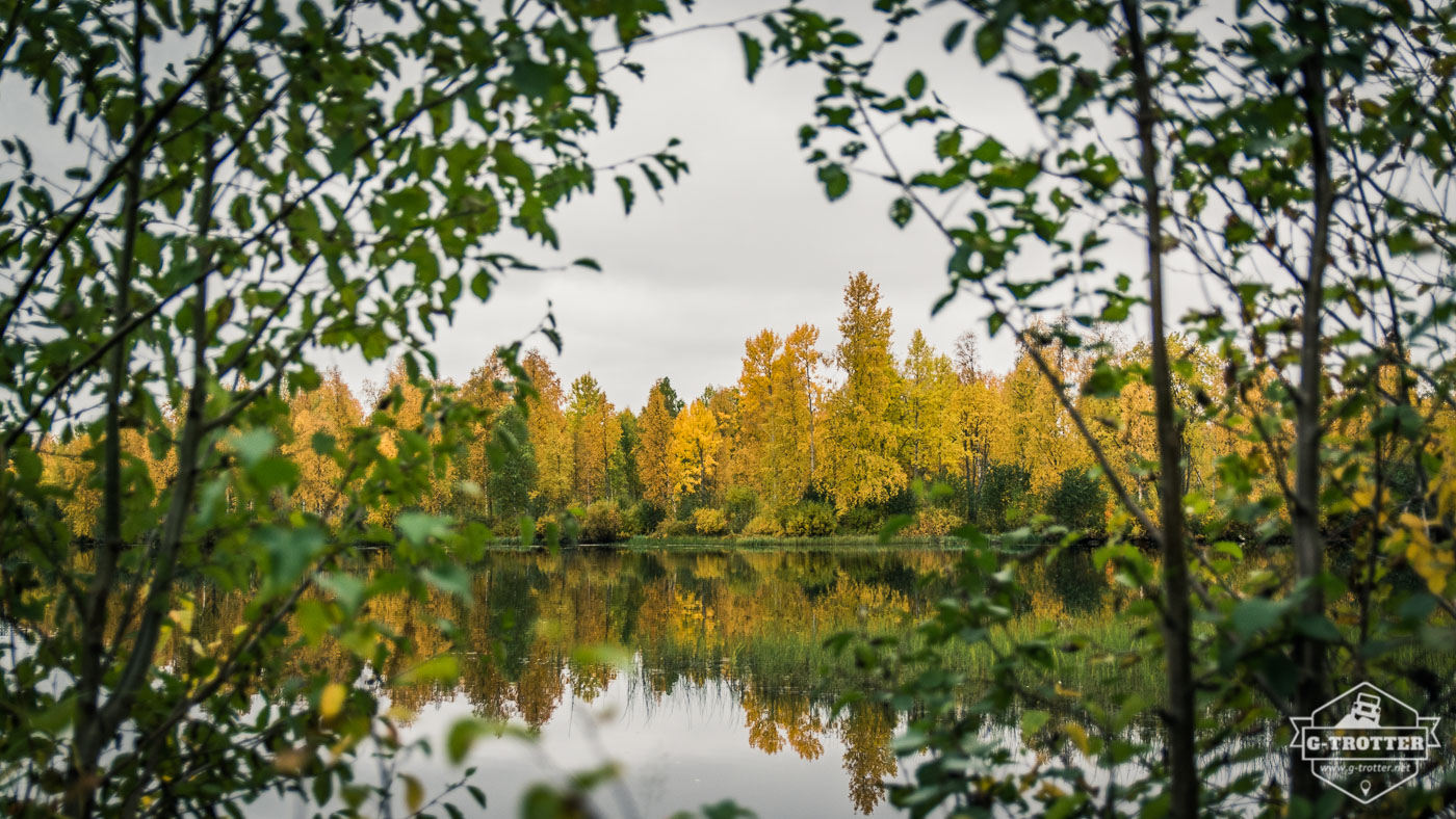 Die vielen Herbstfarben sorgten für eine ganz besondere Atmosphäre.