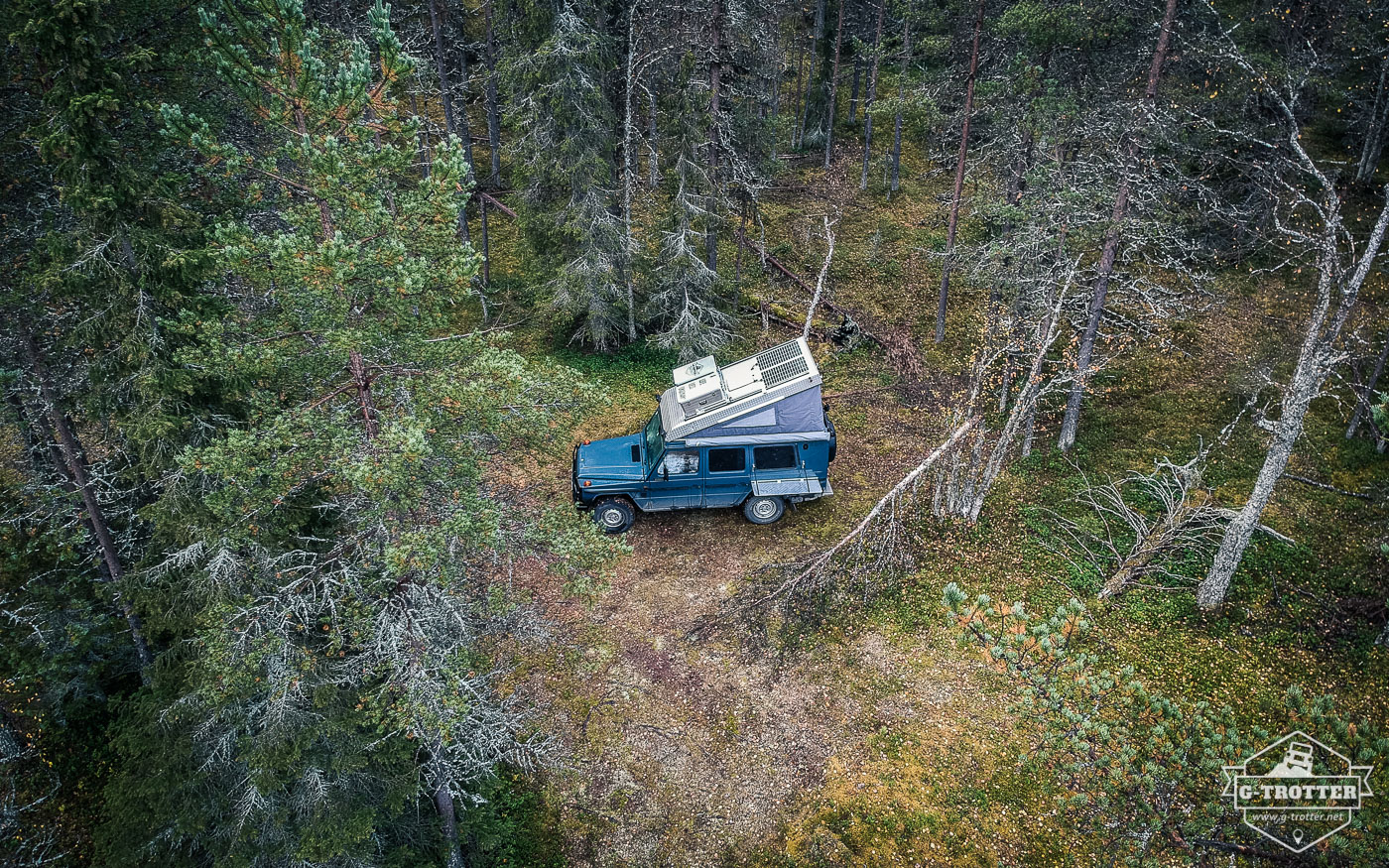 A  campspot right in the middle of the forest. 