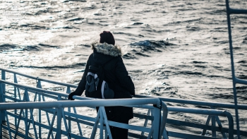 Whale-Safari in Andenes | Picture 10