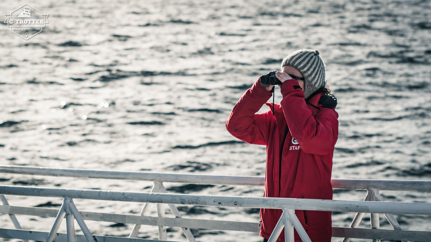 An employee of the Whale Center is our guide on board.