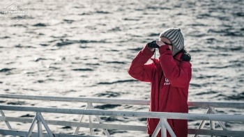 Whale-Safari in Andenes | Picture 11