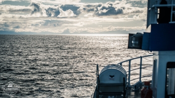 Whale-Safari in Andenes | Picture 12