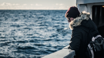 Whale-Safari in Andenes | Picture 16