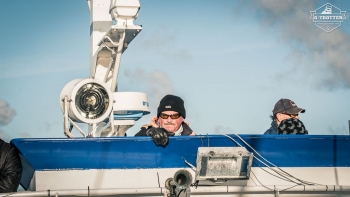 Whale-Safari in Andenes | Picture 21