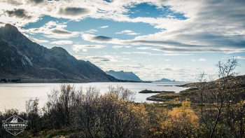 Like in paradise - the Lofoten | Picture 1