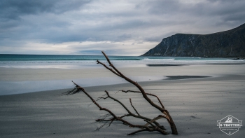 Like in paradise - the Lofoten | Picture 10