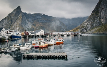 Wie im Paradies - die Lofoten | Bild 14