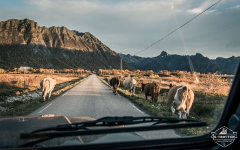 Straßen von Norwegen | Bild 7