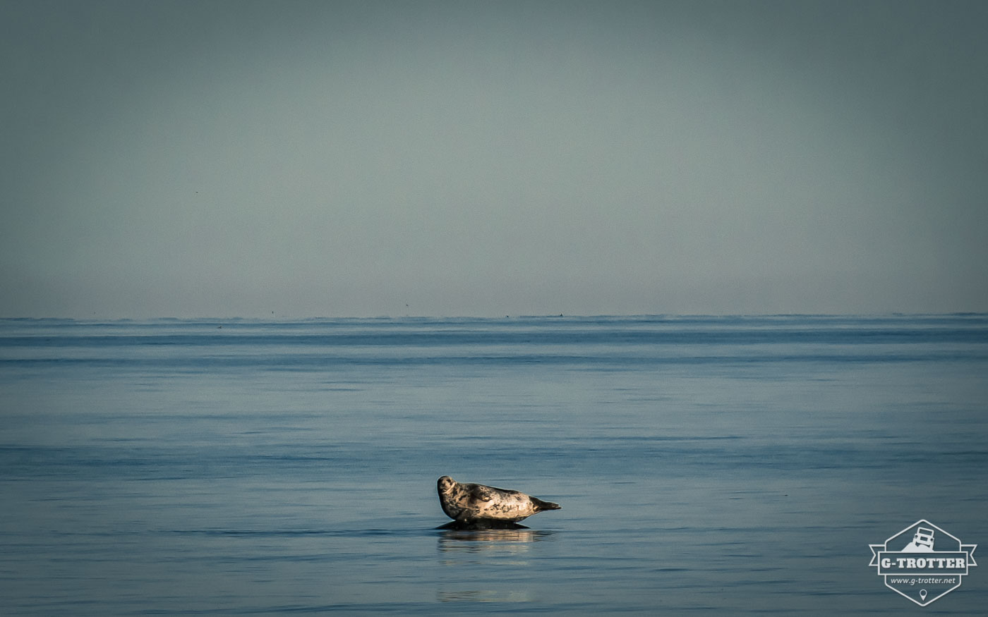 Auf der Insel Öland. 