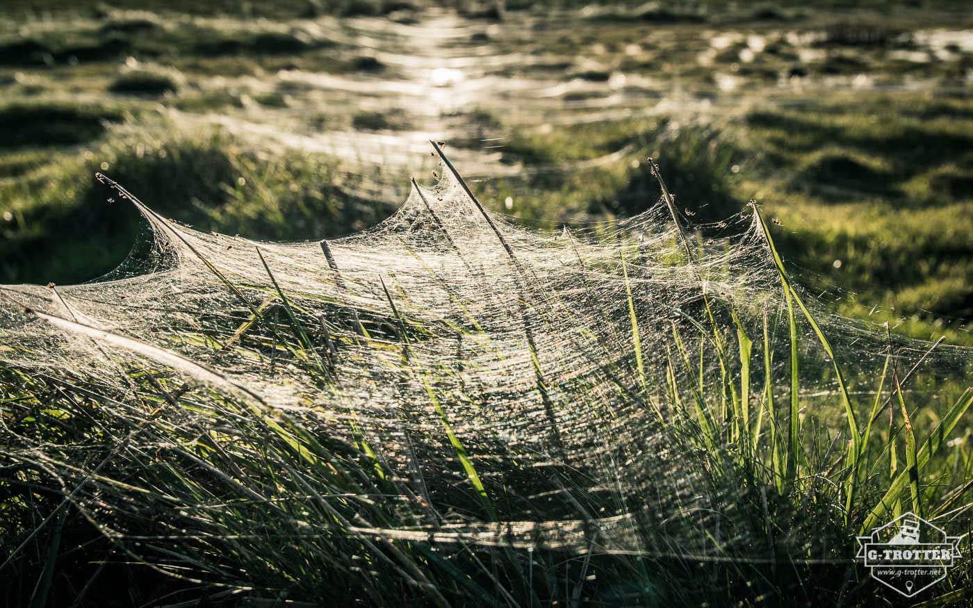 Auf der Insel Öland.