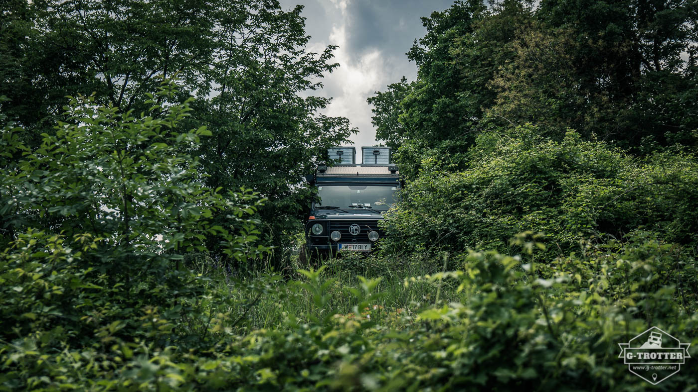 Noch einmal müssen wir uns durch den Wald kämpfen und dann geht es ab nach Kroatien.