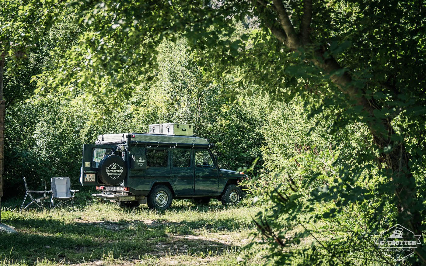 Pitch in an olive grove.
