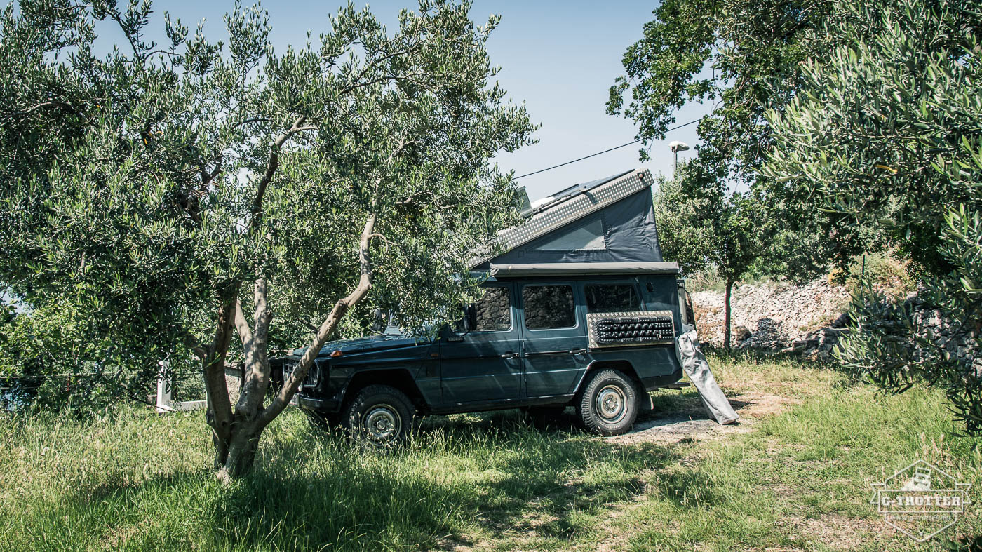 Pitch on a deserted campsite. Once again a night under olive trees.
